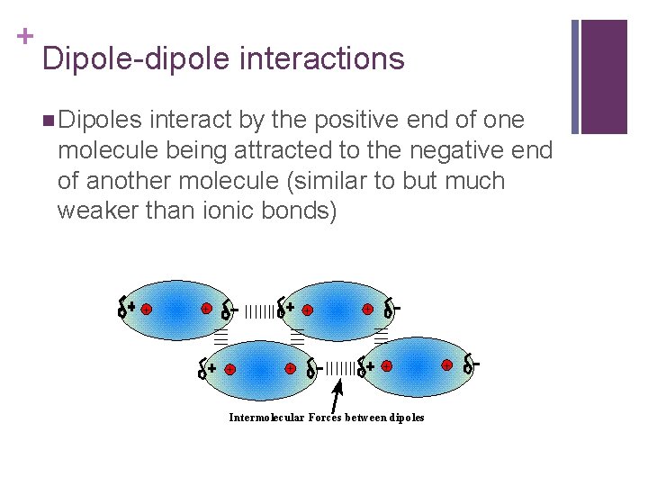 + Dipole-dipole interactions Dipoles interact by the positive end of one molecule being attracted
