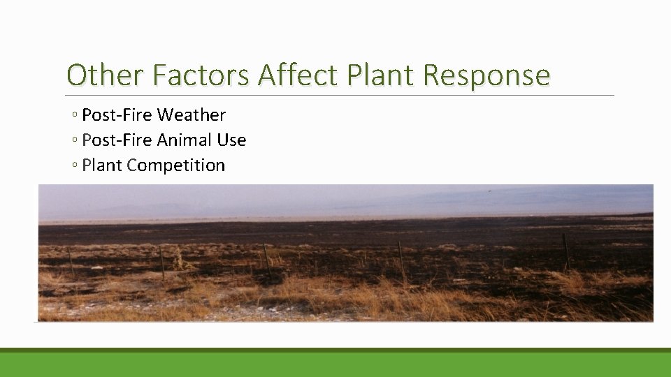 Other Factors Affect Plant Response ◦ Post-Fire Weather ◦ Post-Fire Animal Use ◦ Plant