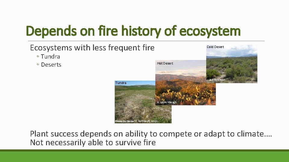 Depends on fire history of ecosystem Ecosystems with less frequent fire ◦ Tundra ◦