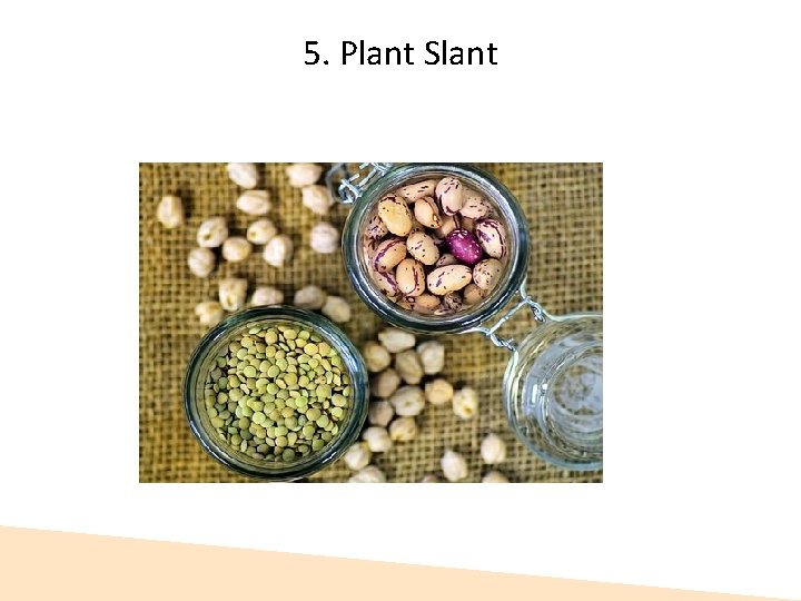 5. Plant Slant  5. Plant Slant