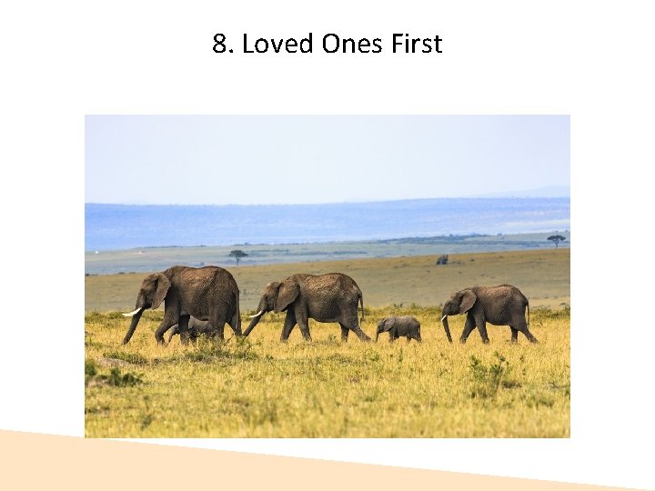 8. Loved Ones First  8. Loved Ones First