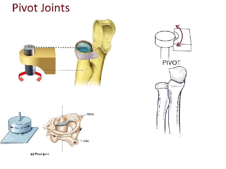 Pivot Joints 
