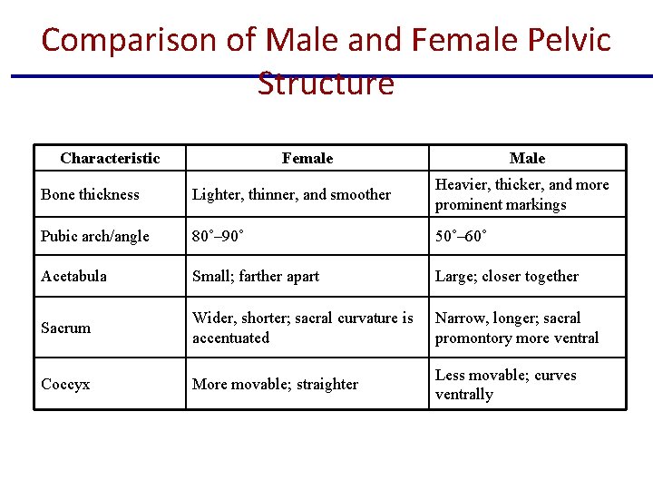 Comparison of Male and Female Pelvic Structure Characteristic Female Male Bone thickness Lighter, thinner, Comparison of Male and Female Pelvic Structure Characteristic Female Male Bone thickness Lighter, thinner,