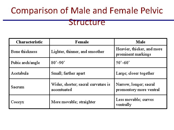 Comparison of Male and Female Pelvic Structure Characteristic Female Male Bone thickness Lighter, thinner,