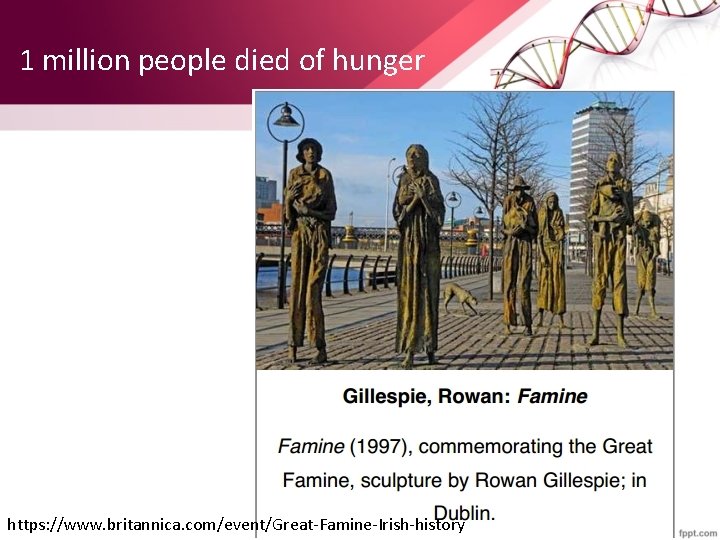 1 million people died of hunger https: //www. britannica. com/event/Great-Famine-Irish-history 