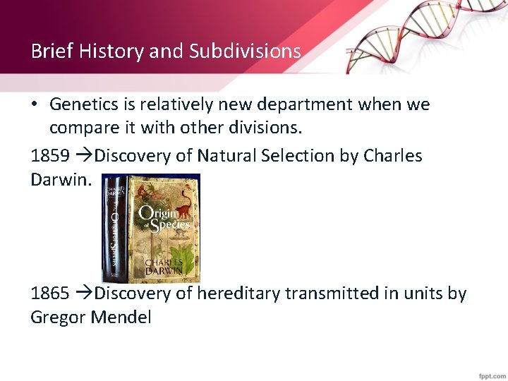 Brief History and Subdivisions • Genetics is relatively new department when we compare it