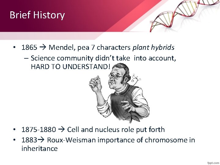 Brief History • 1865 Mendel, pea 7 characters plant hybrids – Science community didn’t