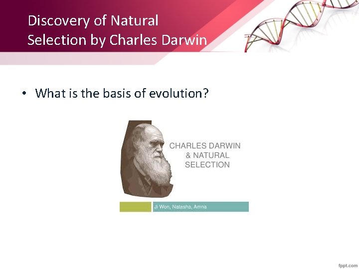 Discovery of Natural Selection by Charles Darwin • What is the basis of evolution?
