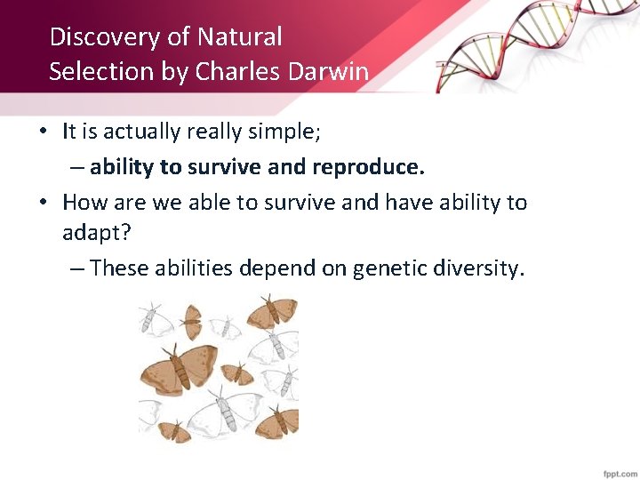 Discovery of Natural Selection by Charles Darwin • It is actually really simple; –