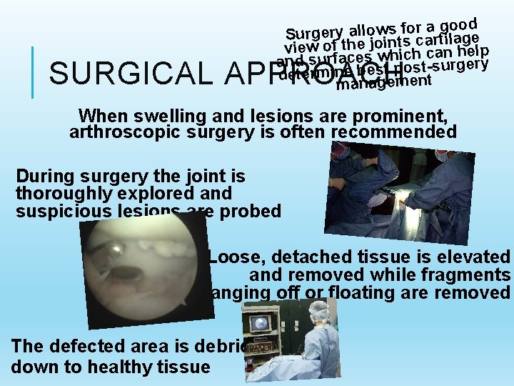 a good r fo s w o ll a ry e rg u S