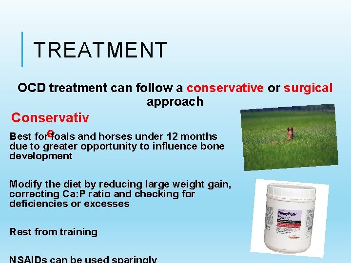 TREATMENT OCD treatment can follow a conservative or surgical approach Conservativ Best forefoals and