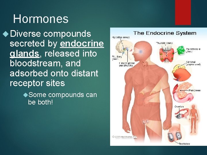 Hormones Diverse compounds secreted by endocrine glands, released into bloodstream, and adsorbed onto distant