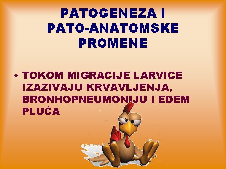 PATOGENEZA I PATO-ANATOMSKE PROMENE • TOKOM MIGRACIJE LARVICE IZAZIVAJU KRVAVLJENJA, BRONHOPNEUMONIJU I EDEM PLUĆA