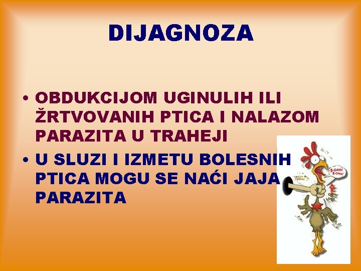 DIJAGNOZA • OBDUKCIJOM UGINULIH ILI ŽRTVOVANIH PTICA I NALAZOM PARAZITA U TRAHEJI • U