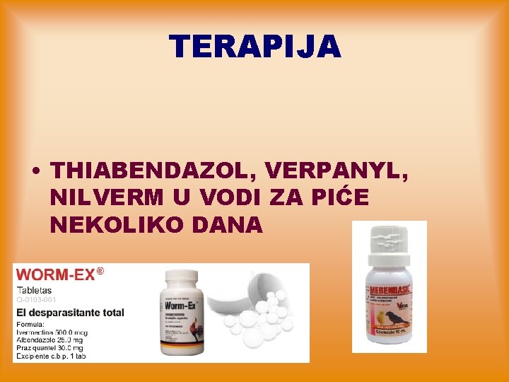 TERAPIJA • THIABENDAZOL, VERPANYL, NILVERM U VODI ZA PIĆE NEKOLIKO DANA 