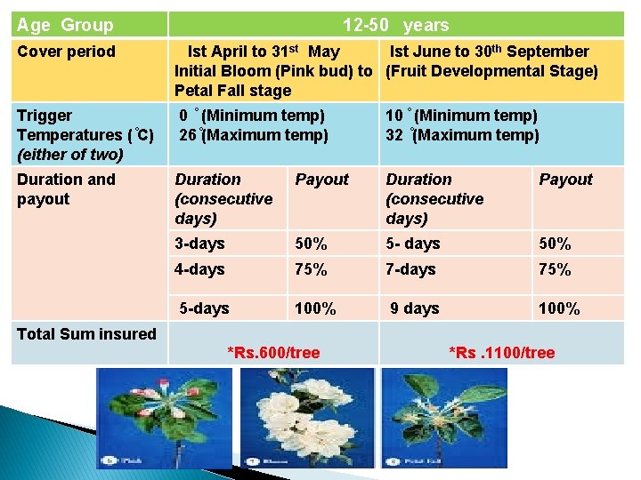 Age Group 12 -50 years Cover period Ist April to 31 st May Ist