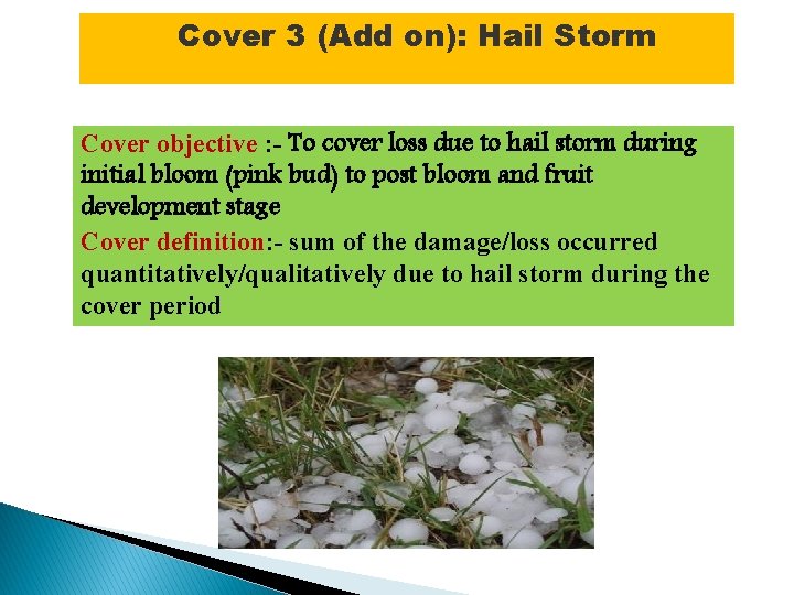 Cover 3 (Add on): Hail Storm Cover objective : - To cover loss due