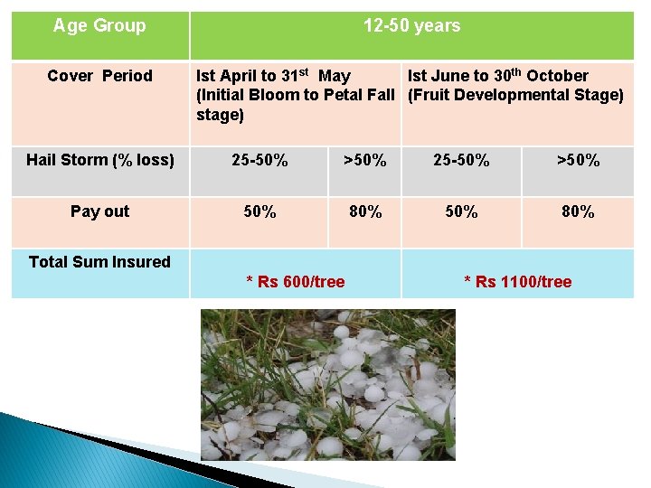 Age Group 12 -50 years Cover Period Ist April to 31 st May Ist