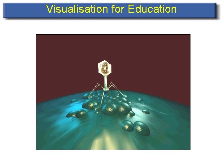 Visualisation for Education 
