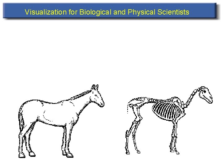 Visualization for Biological and Physical Scientists 