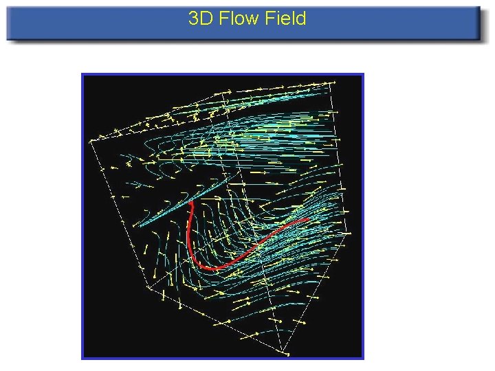 3 D Flow Field 