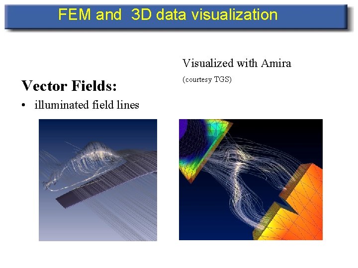 FEM and 3 D data visualization Visualized with Amira Vector Fields: • illuminated field