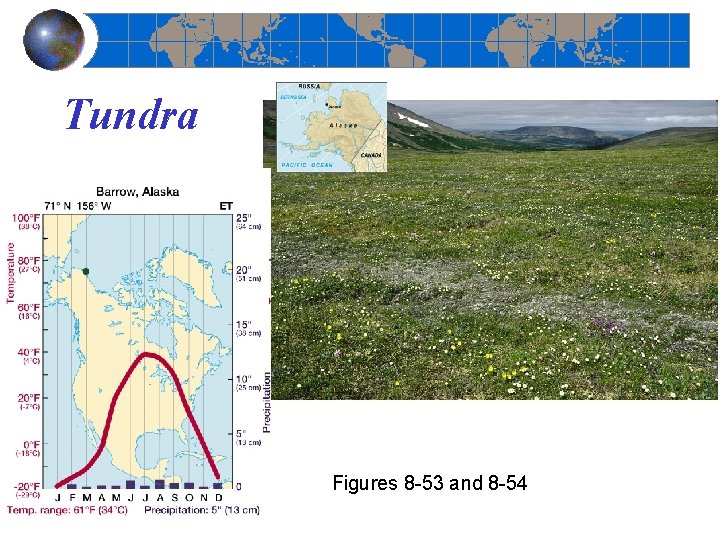 Tundra Figures 8 -53 and 8 -54 