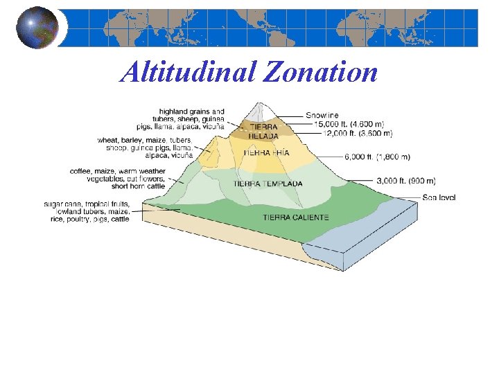 Altitudinal Zonation 