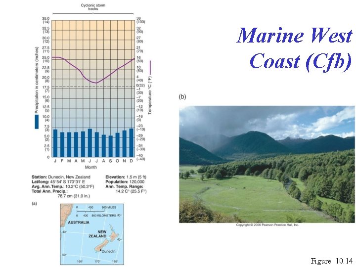 Marine West Coast (Cfb) Figure 10. 14 