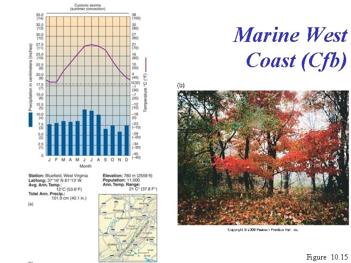 Marine West Coast (Cfb) Figure 10. 15 