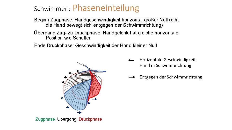 Schwimmen: Phaseneinteilung Beginn Zugphase: Handgeschwindigkeit horizontal größer Null (d. h. die Hand bewegt sich