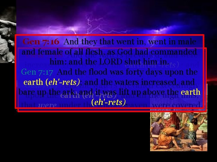Gen 7: 16 And they that went in, went in male and female all