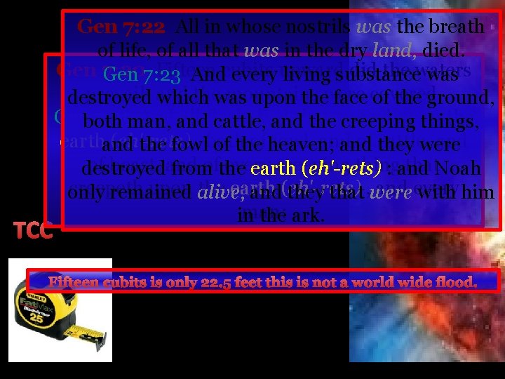 TCC Gen 7: 22 All in whose nostrils was the breath of life, of