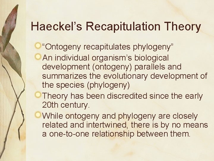 Haeckel’s Recapitulation Theory “Ontogeny recapitulates phylogeny” An individual organism’s biological development (ontogeny) parallels and
