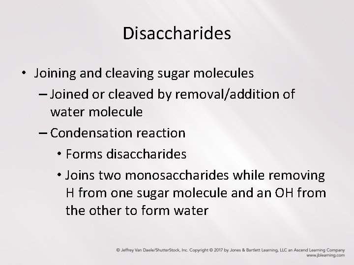 Disaccharides • Joining and cleaving sugar molecules – Joined or cleaved by removal/addition of