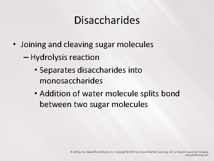 Disaccharides • Joining and cleaving sugar molecules – Hydrolysis reaction • Separates disaccharides into