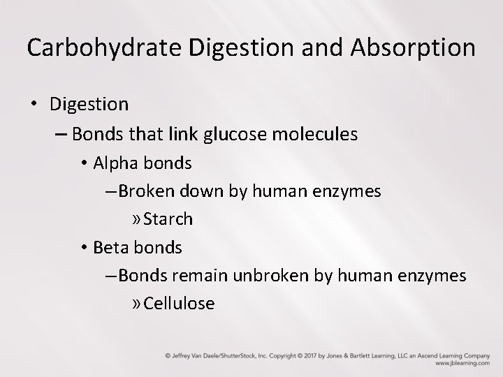 Carbohydrate Digestion and Absorption • Digestion – Bonds that link glucose molecules • Alpha