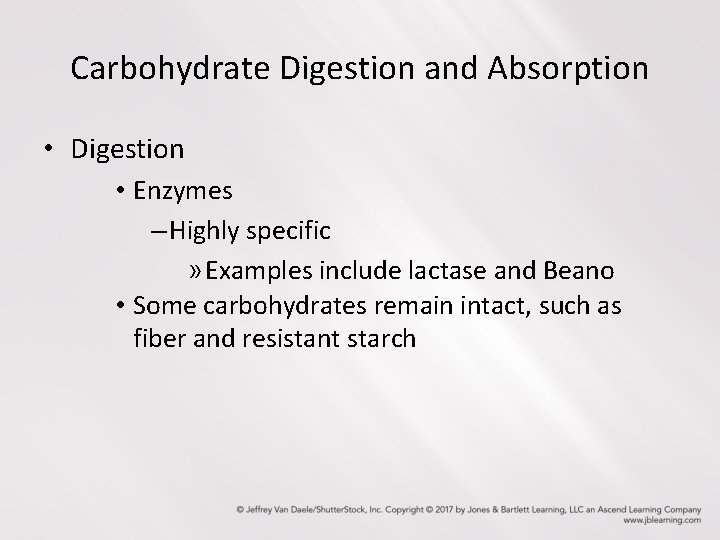 Carbohydrate Digestion and Absorption • Digestion • Enzymes – Highly specific » Examples include