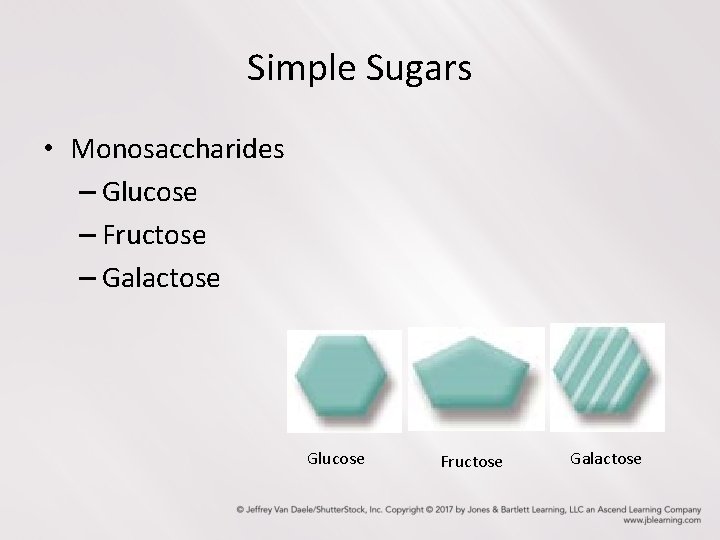 Simple Sugars • Monosaccharides – Glucose – Fructose – Galactose Glucose Fructose Galactose 