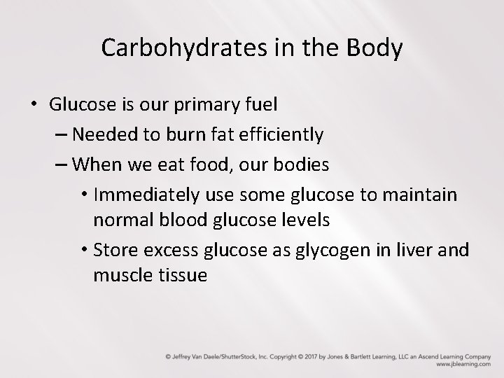 Carbohydrates in the Body • Glucose is our primary fuel – Needed to burn