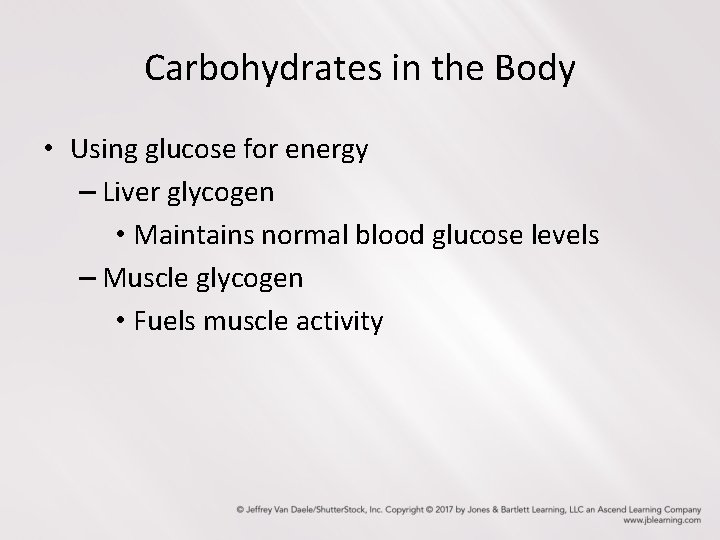 Carbohydrates in the Body • Using glucose for energy – Liver glycogen • Maintains