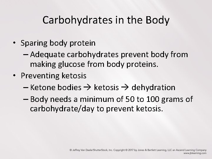 Carbohydrates in the Body • Sparing body protein – Adequate carbohydrates prevent body from