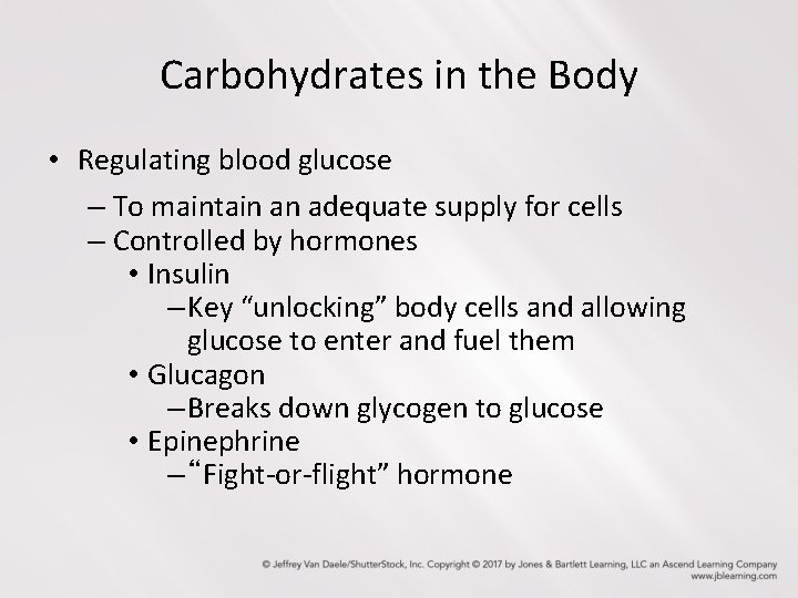 Carbohydrates in the Body • Regulating blood glucose – To maintain an adequate supply