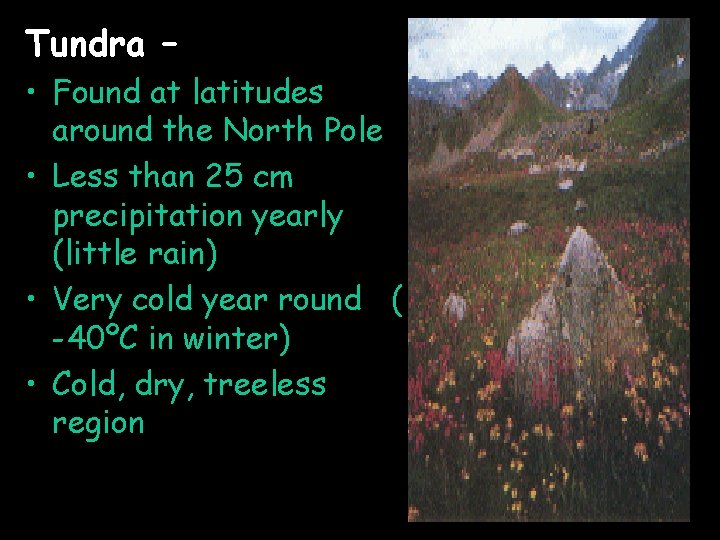 Tundra – • Found at latitudes around the North Pole • Less than 25
