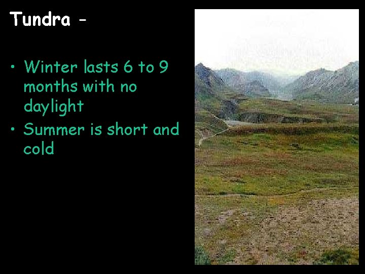 Tundra – • Winter lasts 6 to 9 months with no daylight • Summer