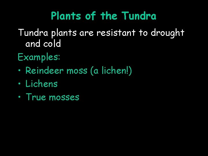 Plants of the Tundra plants are resistant to drought and cold Examples: • Reindeer