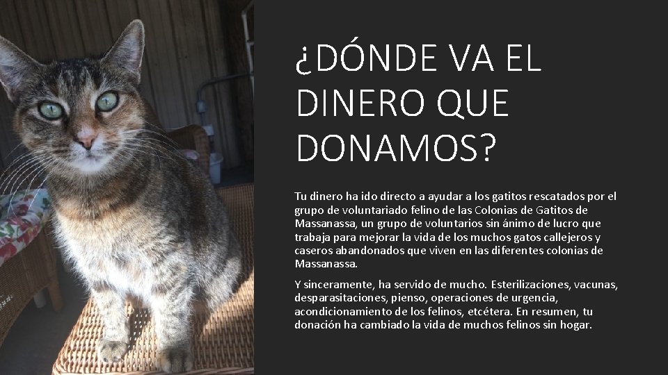 ¿DÓNDE VA EL DINERO QUE DONAMOS? Tu dinero ha ido directo a ayudar a