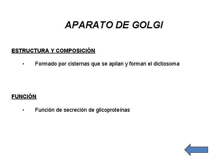 APARATO DE GOLGI ESTRUCTURA Y COMPOSICIÓN • Formado por cisternas que se apilan y