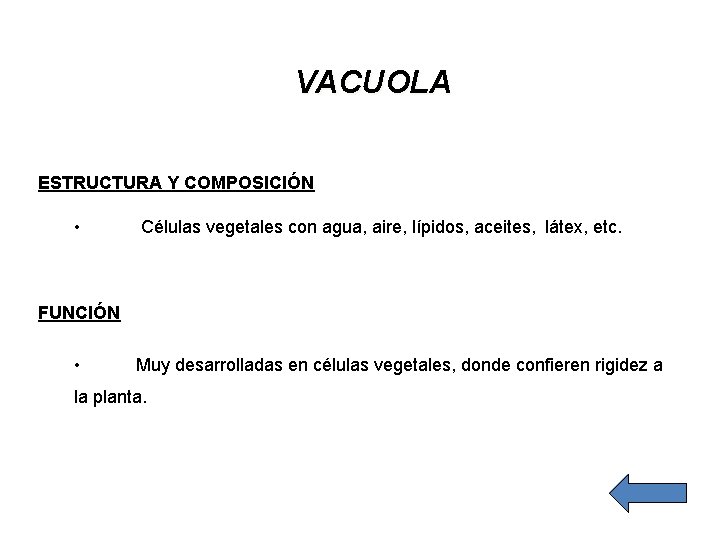 VACUOLA ESTRUCTURA Y COMPOSICIÓN • Células vegetales con agua, aire, lípidos, aceites, látex, etc.