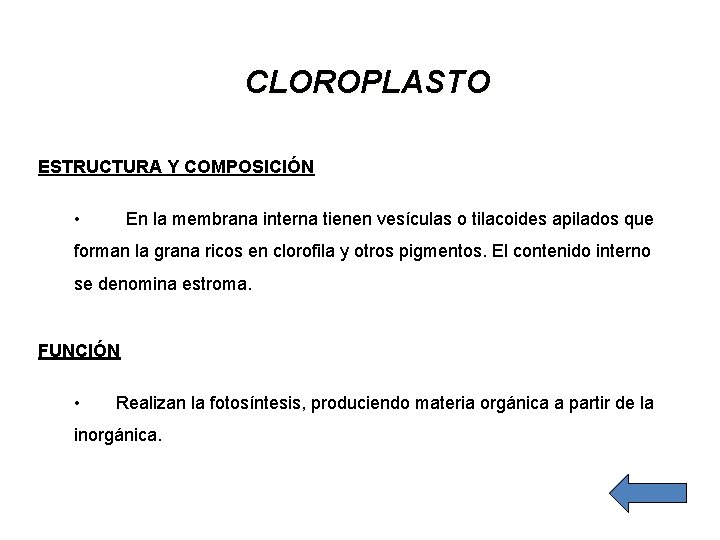 CLOROPLASTO ESTRUCTURA Y COMPOSICIÓN • En la membrana interna tienen vesículas o tilacoides apilados